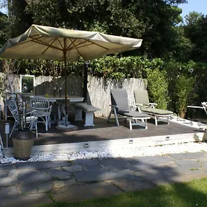 Apartment Domusauroom, Relax Nel Cuore Della Versilia - Pet Friendly, Viareggio